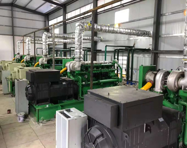 云南某发电项目配安博安博首页_安博anbo(中国)_安博anbo(中国)
800kw/10.5kv 高压发电机