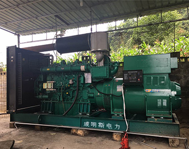 安博安博首页_安博anbo(中国)_安博anbo(中国)
1000KW/10.5KV配套康明斯机组应用于矿山项目