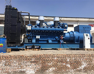 安博安博首页_安博anbo(中国)_安博anbo(中国)
2000KW/10.5KV 高压发电机应用于某石油项目