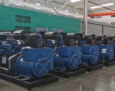 安博安博首页_安博anbo(中国)_安博anbo(中国)
500KW/400V陆用发电机应用于某养殖场项目